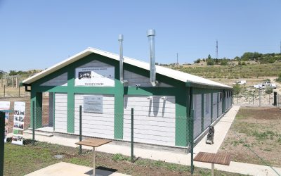 PIG GENETIC CENTER OPENED IN NOR GYUGH COMMUNITY